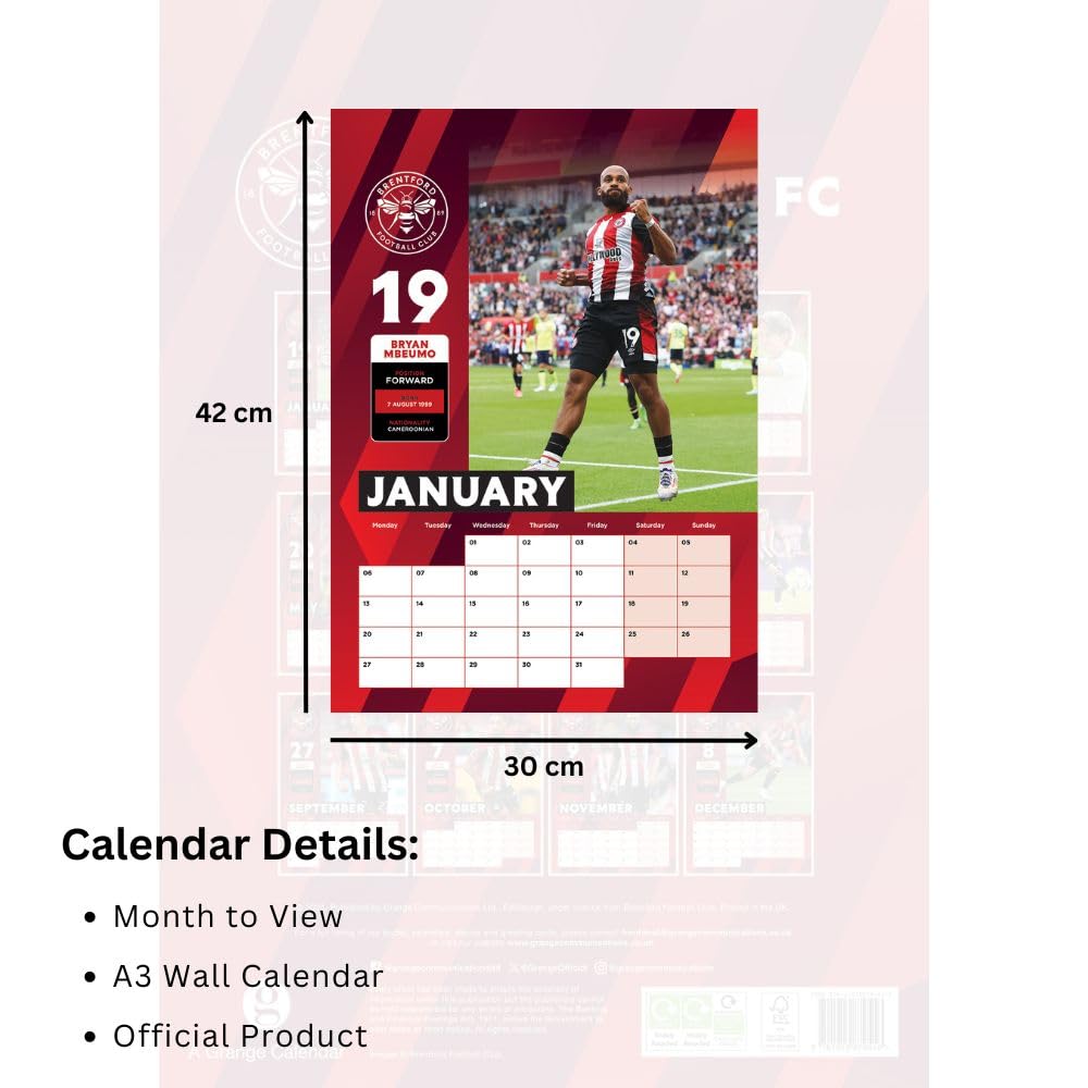 2025 A3 Wall Calendar Featuring Beloved Brentford FC Football Players