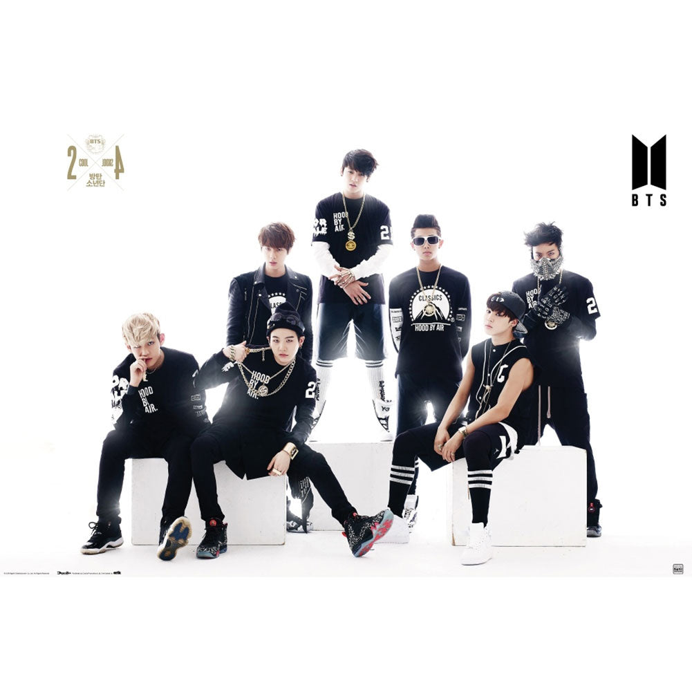 High - Quality Black & White BTS Band Members Group Rolled Maxi Poster
