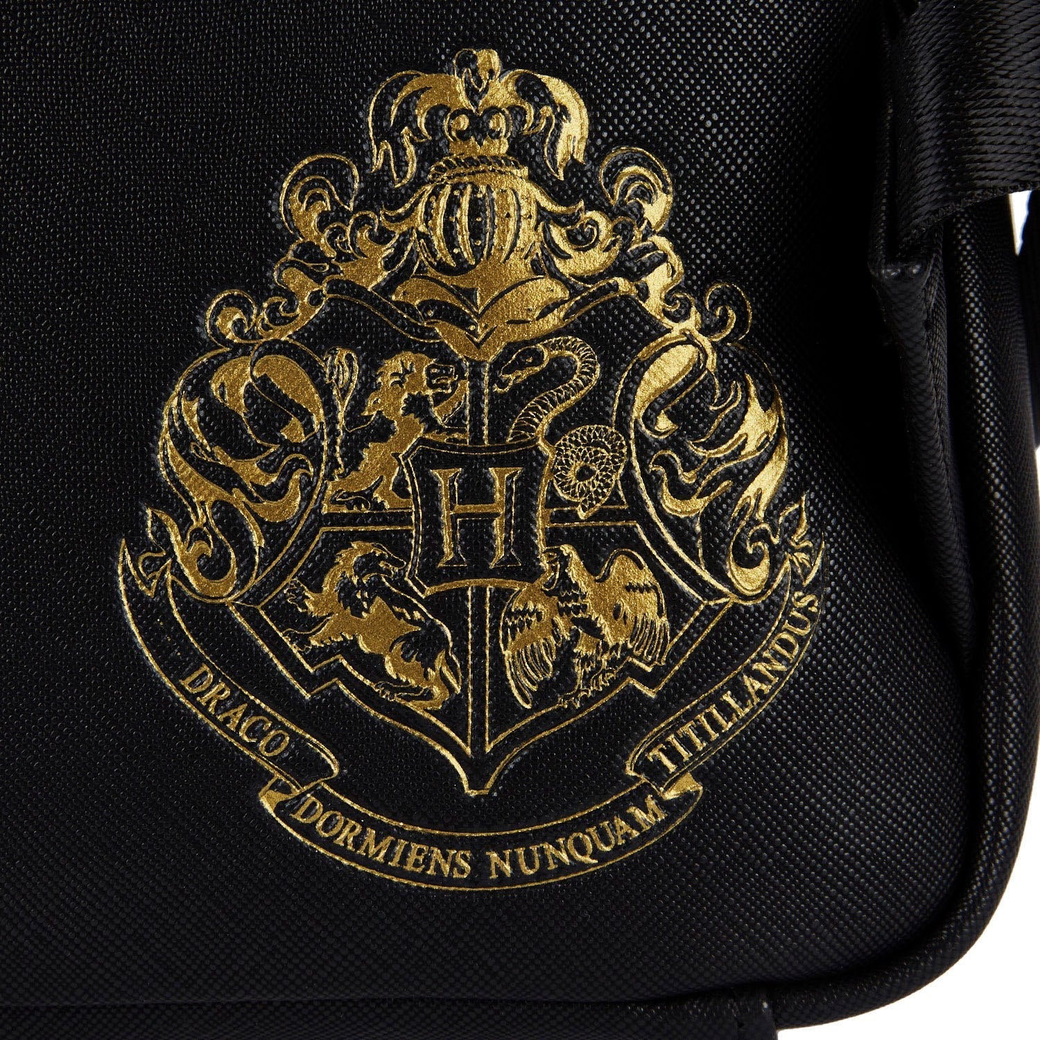 Loungefly Branded Harry Potter Trilogy Themed Triple Pocket Mini Backpack for Fashionable Carrying