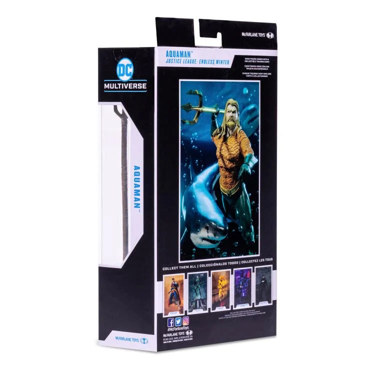 McFarlane DC Multiverse 7-Inch Collectible Action Figure of Aquaman from the Endless Winter Storyline