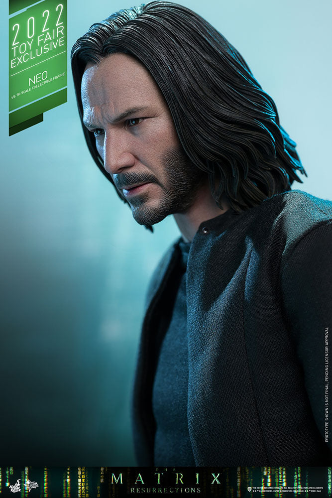 Hot Toys Exclusive 1:6 Scale Collectible Figure of Neo from The Matrix Revolutions