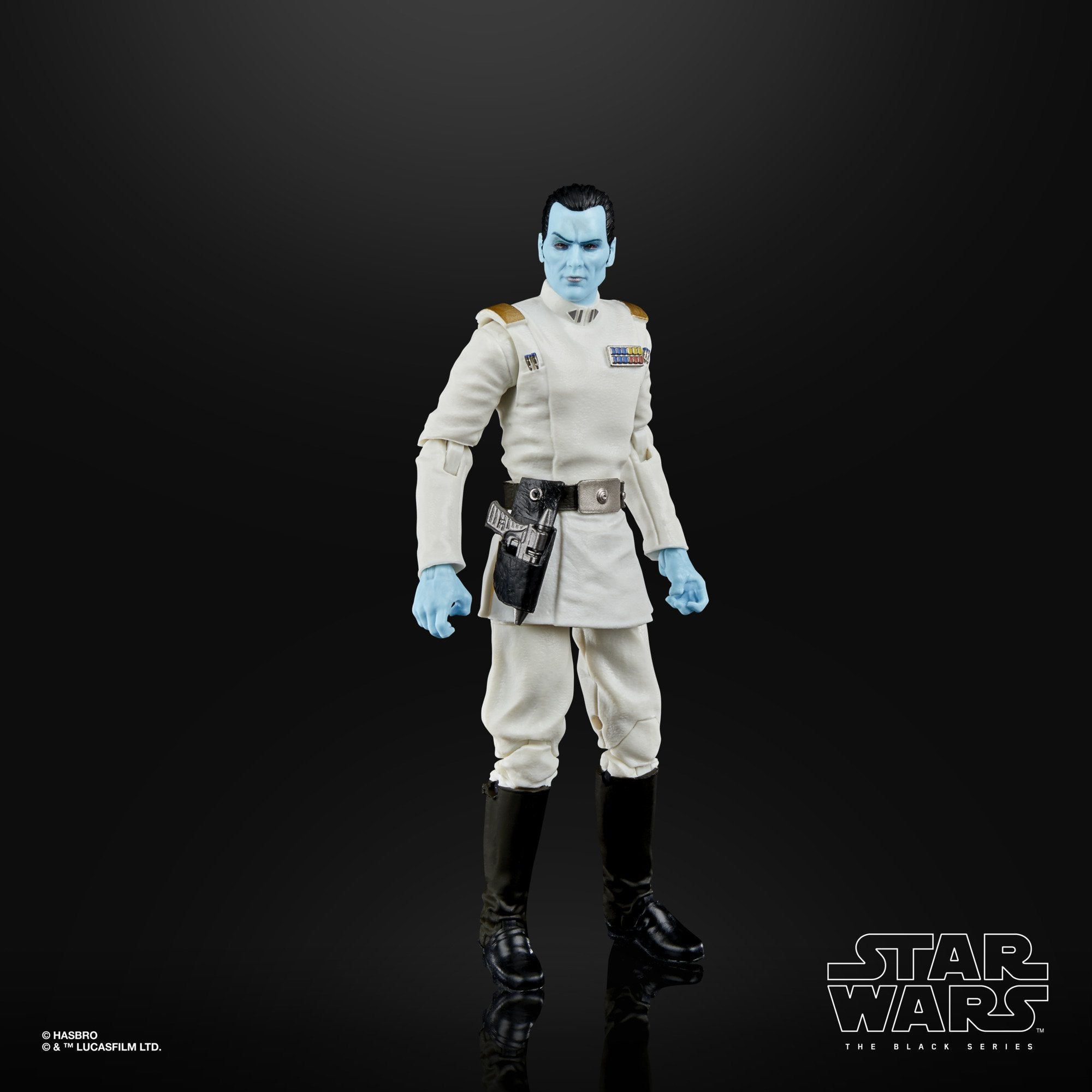 Hasbro Star Wars The Black Series Archive 6 - Inch Action Figure of Grand Admiral Thrawn, a Collectible for Fans