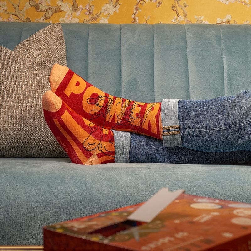 He-Man and the Masters of the Universe 12-Day Socks Advent Calendar - Premium Holiday Gift