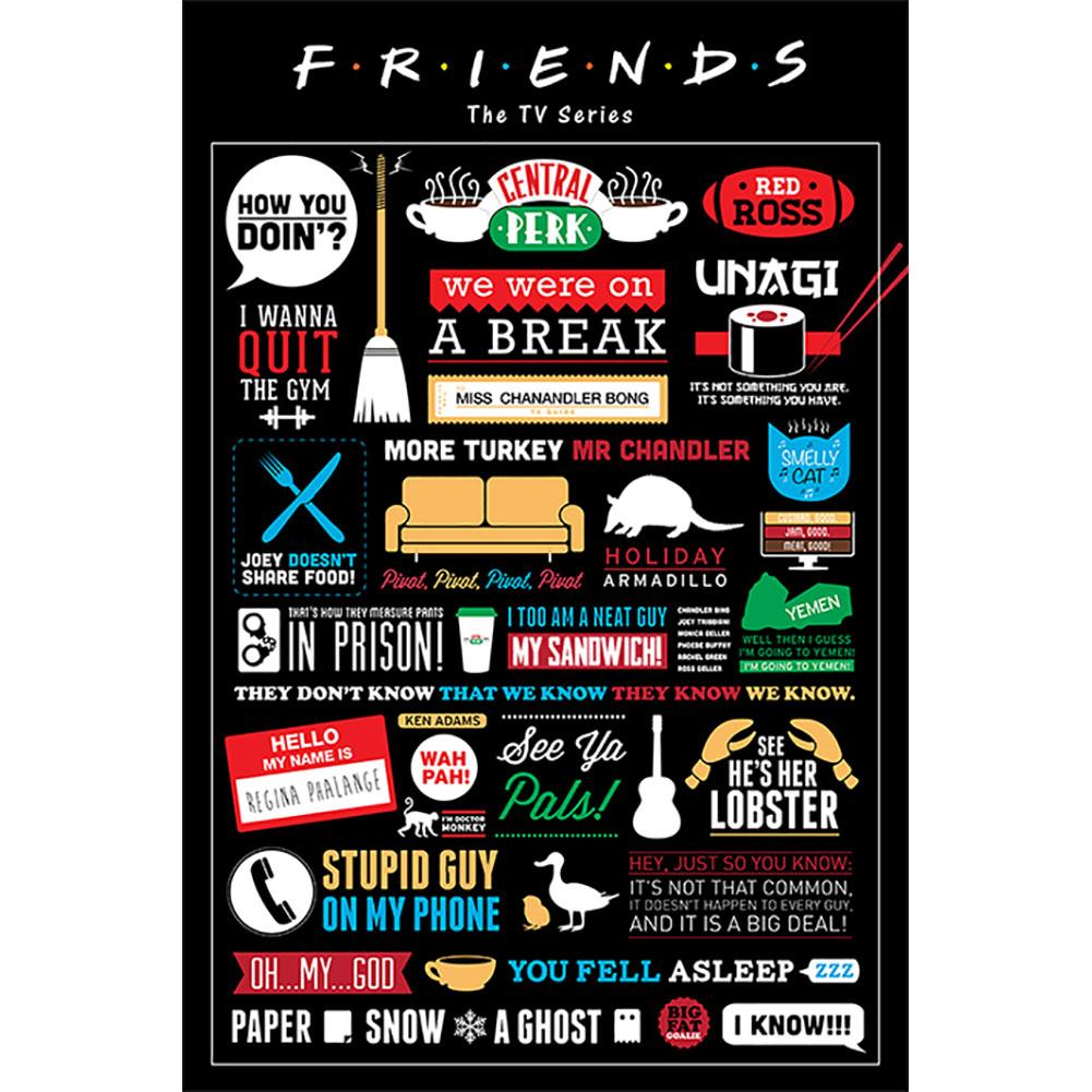 Friends TV Series Infographic Rolled Maxi Poster for Decoration