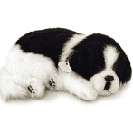 Exquisite Perfect Petzzz Border Collie Plush Toy for Pet Lovers