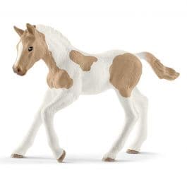 Beautiful Paint Horse Foal - A Special Equine Breed
