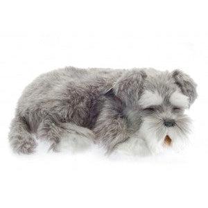 Adorable Perfect Petzzz Schnauzer Bundle with Accessories