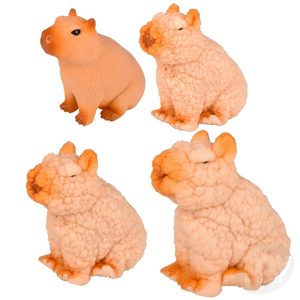 3 Small Capybara That Grow in Water in a Few Hours