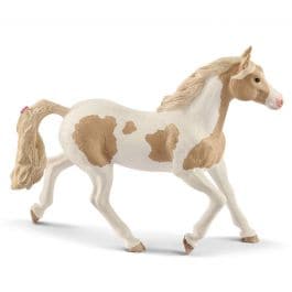 Distinctive Paint Horse Mare with Patched Coat