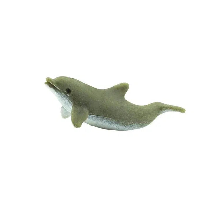 Charming Miniature Bottlenose Dolphins for Good Luck
