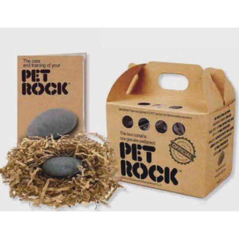Officially Licensed Original Classic Pet Rock for All Ages