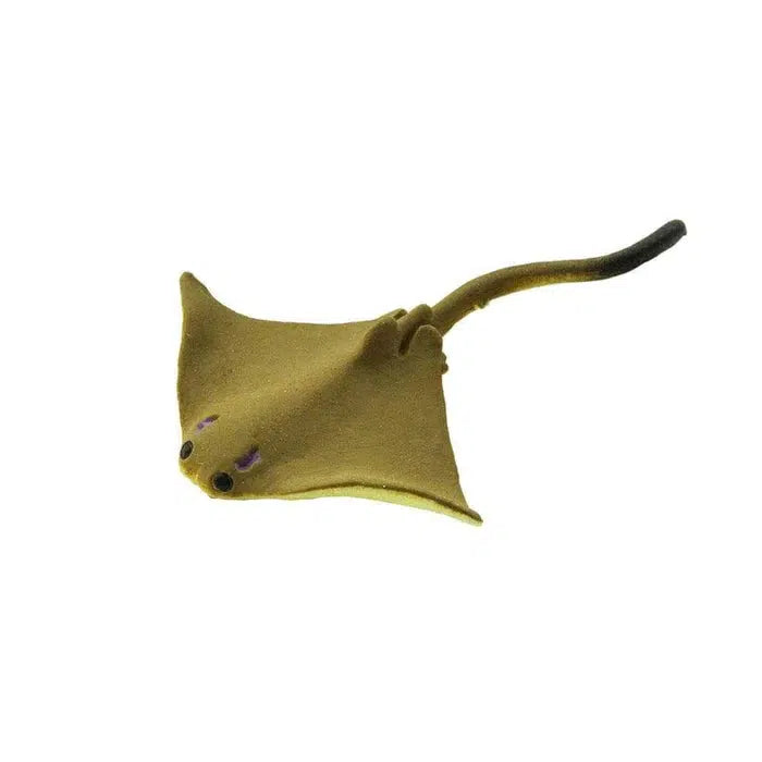 Lucky Miniature Cownose Rays for Ocean Fun