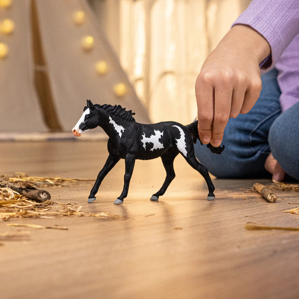 Striking Piebald Paint Horse Gelding for Riding Adventures