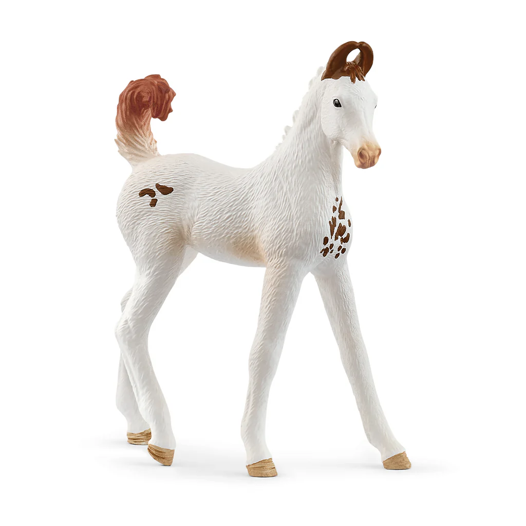 Adorable Marwari Foal with White Fur and Brown Spots