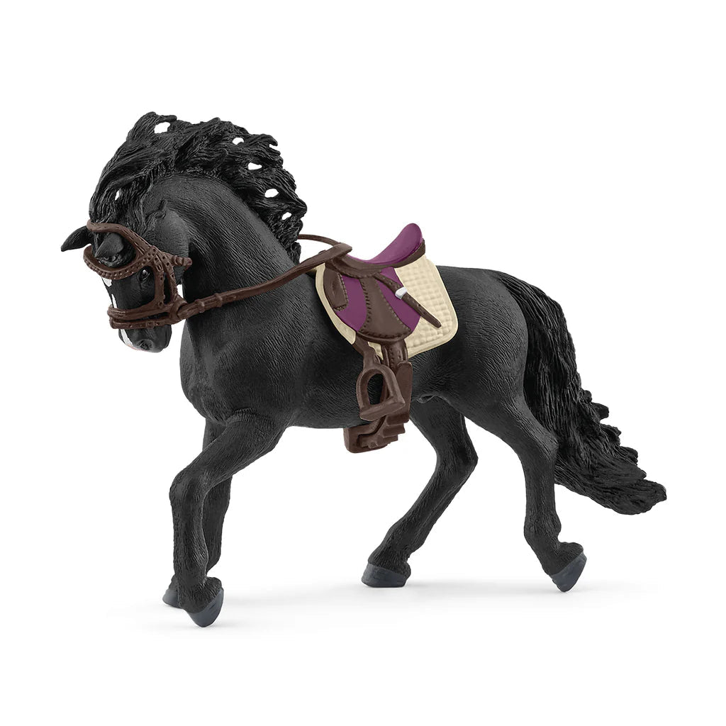 Purebred Spanish Stallion Equipped with Saddle and Bridle for Equestrian Use