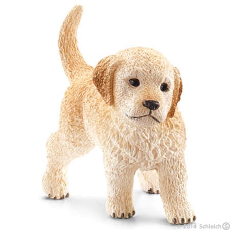 Adorable Golden Retriever Puppy for Family Companionship