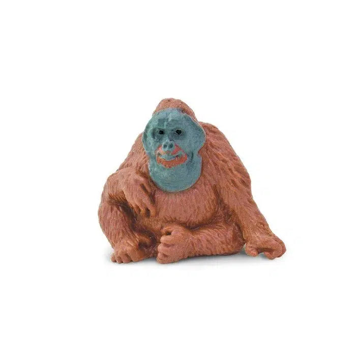 Charming Miniature Orangutans for Good Luck