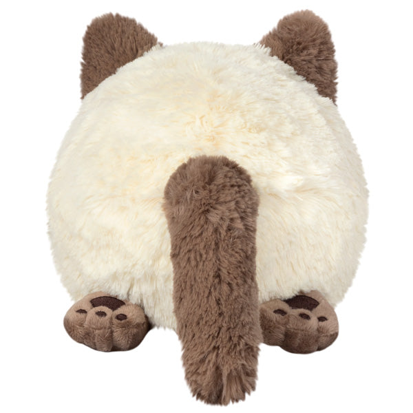 Adorable 11 - Mini Squishable Colorpoint Kitty