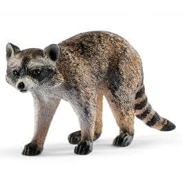 Intelligent and Adaptable Raccoons: Night - Active Predators