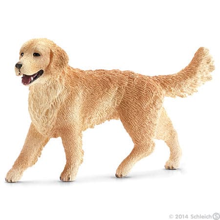 Female Golden Retriever: A Friendly and Intelligent Medium - sized Canine