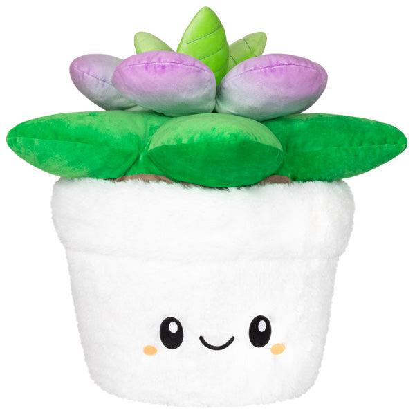 15-piece Squishy Succulent Collection