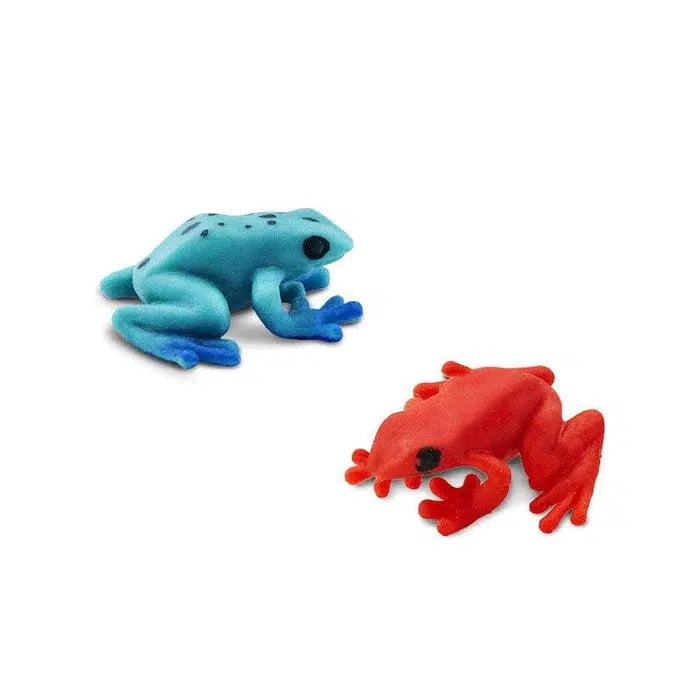 Lucky Miniature Poison Dart Frogs for Decor and Prizes