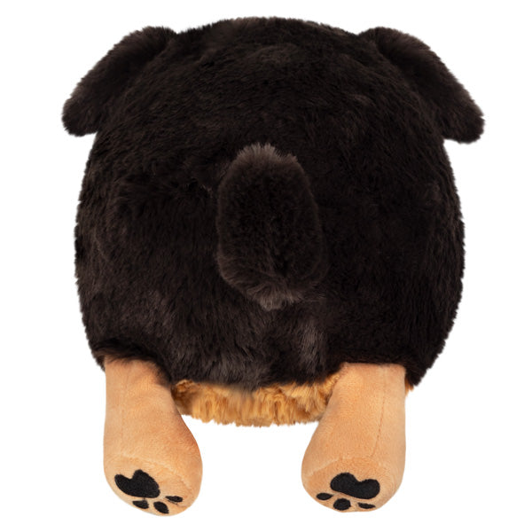 13-Inch Mini Squishable and Fluffy Dachshund for Petting Fun