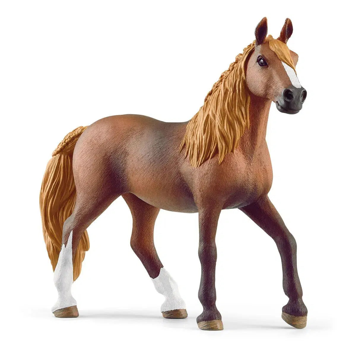 Graceful Peruvian Paso Mare with Braided Mane and Tail
