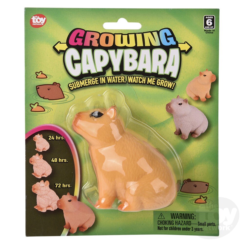 3 Small Capybara That Grow in Water in a Few Hours