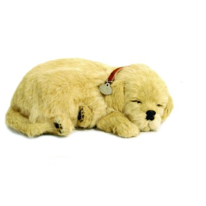 Perfectly Crafted Petzzz Stuffed Golden Retriever Toy Bundle