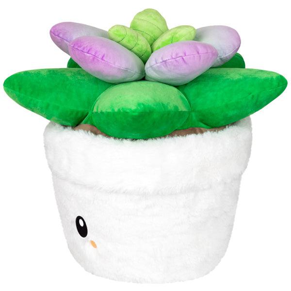 15-piece Squishy Succulent Collection