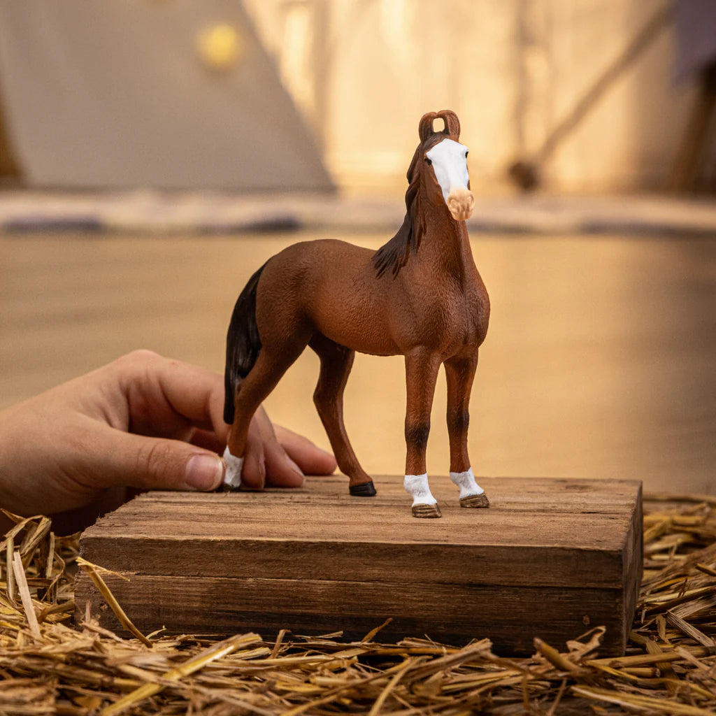Exquisite Indian Marwari Mare with Crescent - shaped Ears