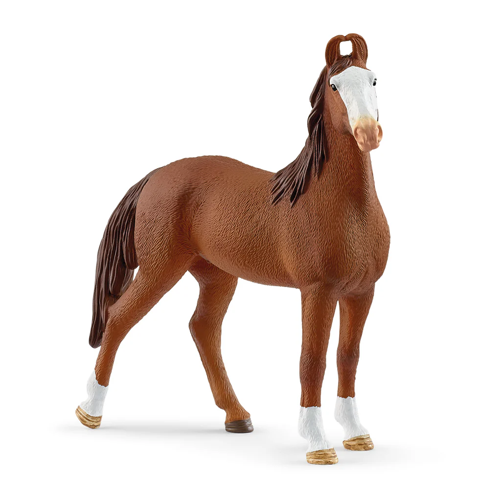Exquisite Indian Marwari Mare with Crescent - shaped Ears