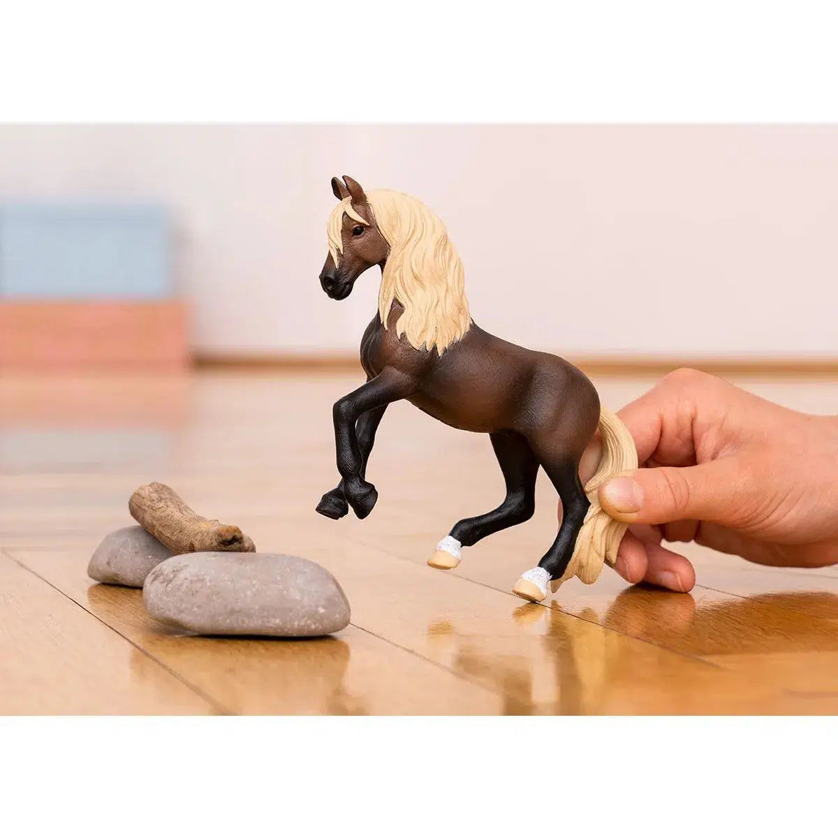 Stunning Peruvian Paso Stallion with Elegant Gait