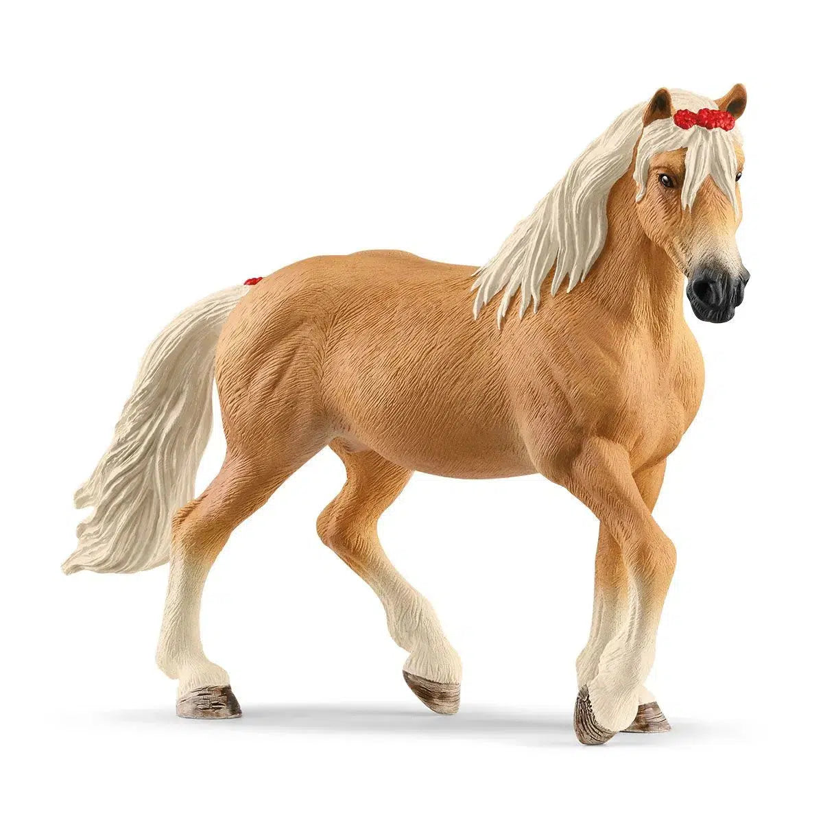 Adorable Haflinger Mare with Bright Red Bow in Lush White Mane