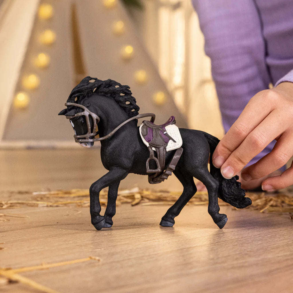 Purebred Spanish Stallion Equipped with Saddle and Bridle for Equestrian Use