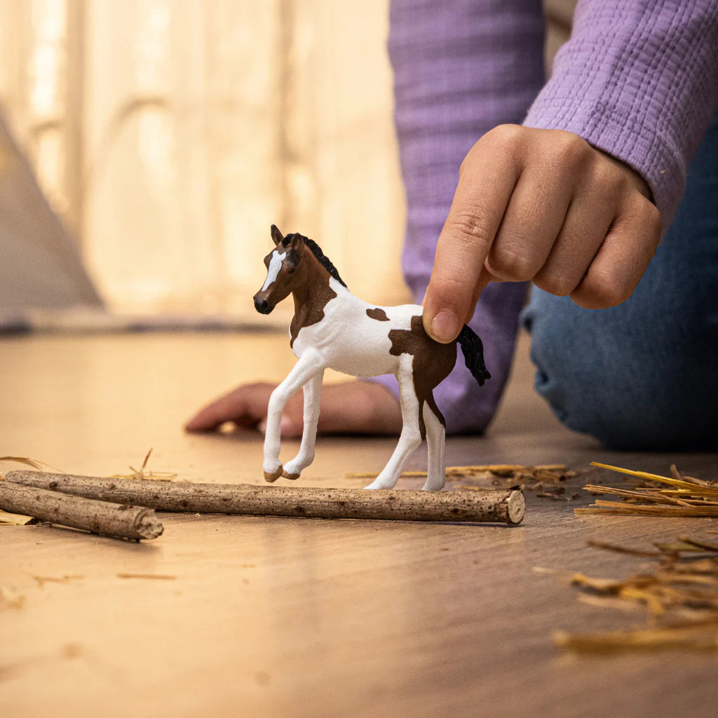 Adorable Pinto Horse Foal with Unusual Coat Pattern