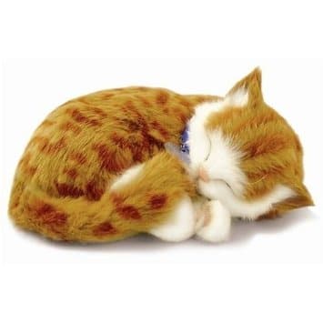 Adorable Orange Tabby Kitten from Perfect Petzzz, Soft and Realistic