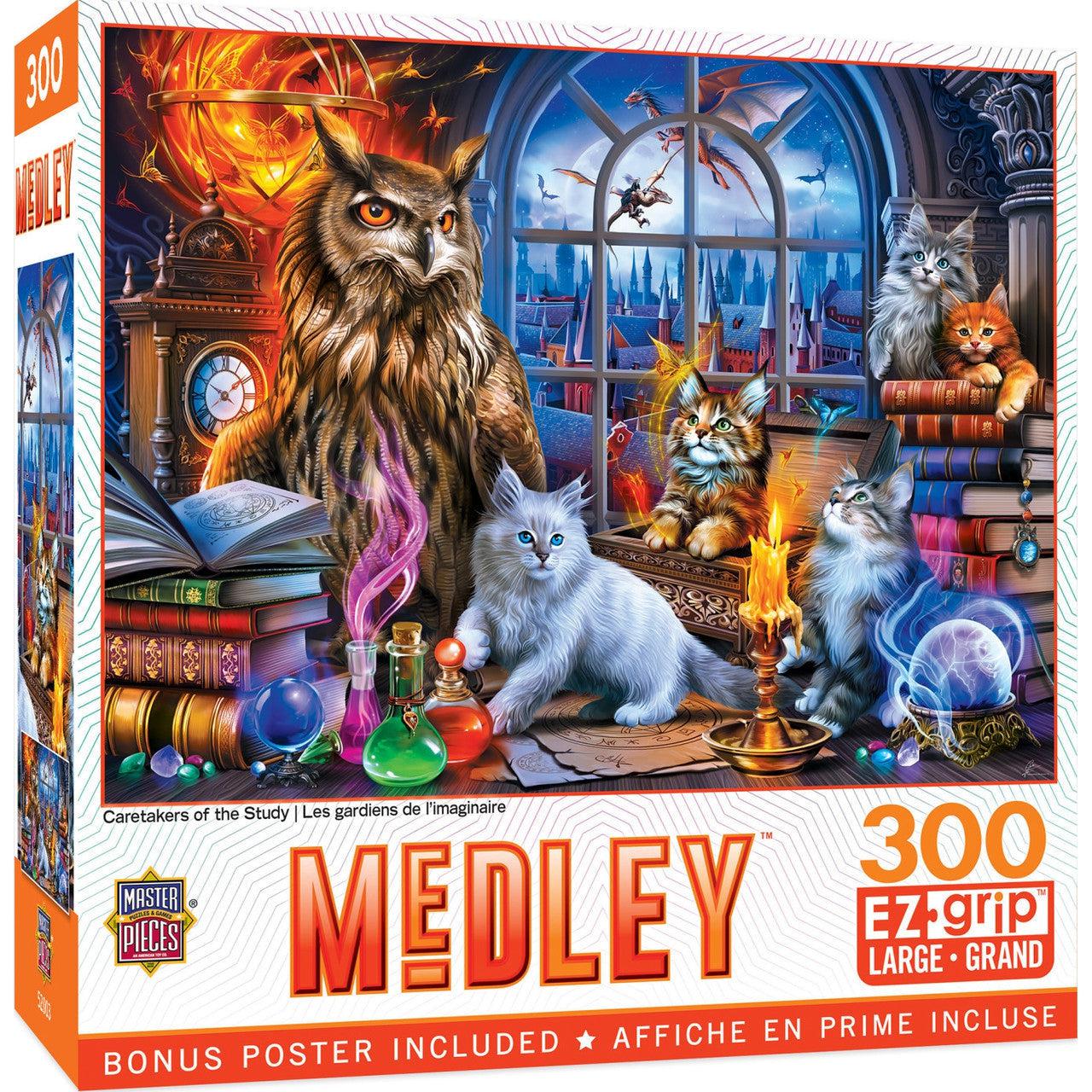 300-Piece EzGrip Puzzle Set - Medley: Guardians of the Study