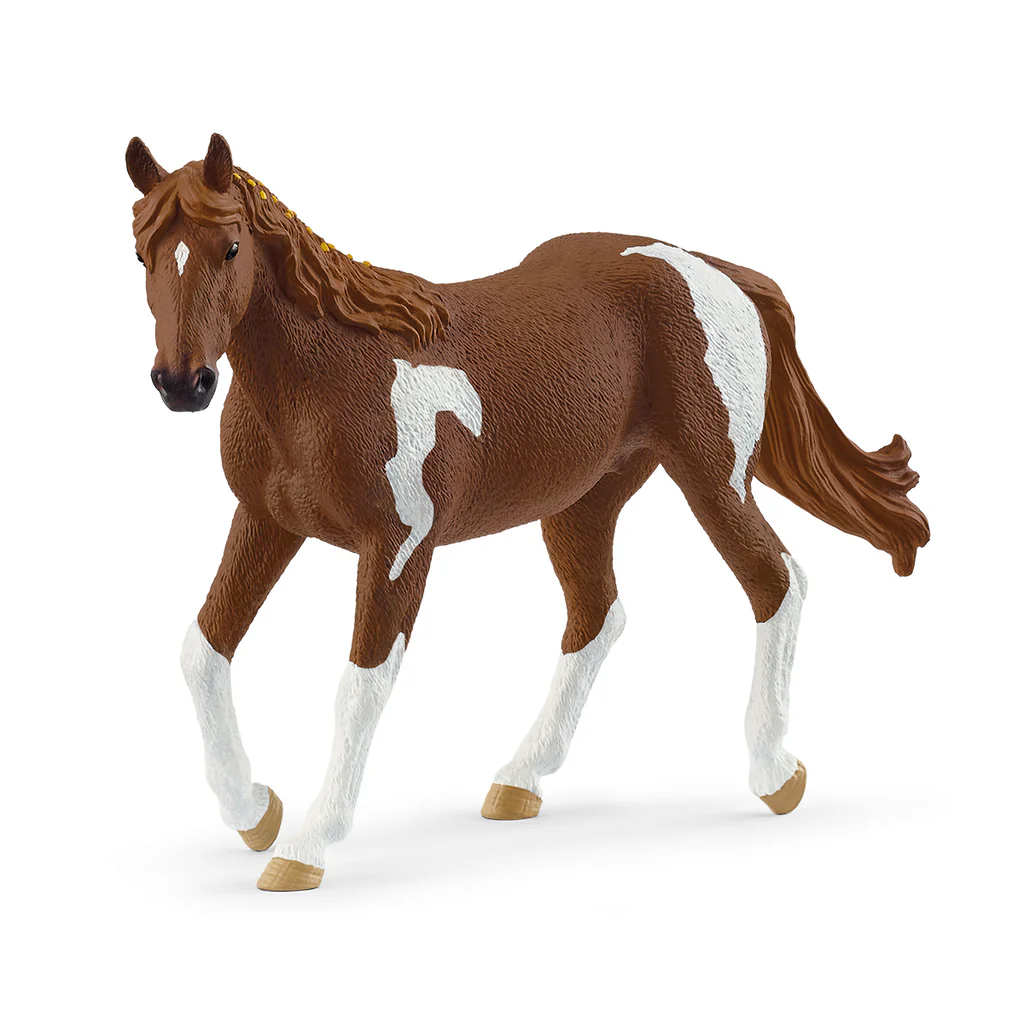 Charming Chocolate - Coated Paint Horse Mare