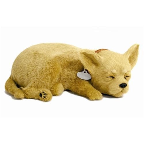 Adorable Perfect Petzzz Chihuahua with Complete Bundle