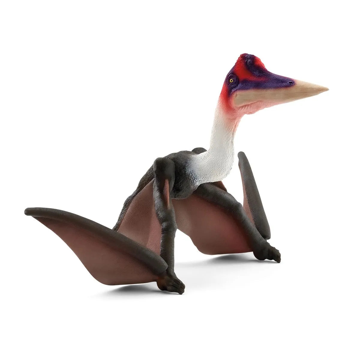Quetzalcoatlus - A Majestic Large Flying Dinosaur