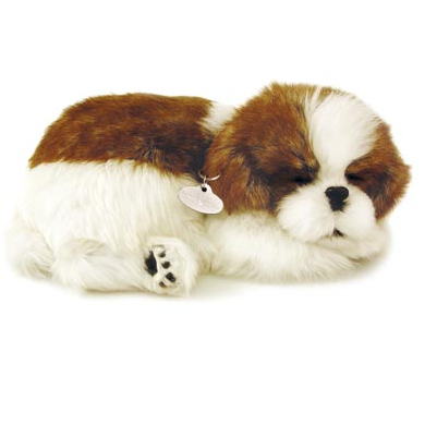 Exquisite Perfect Petzzz Shih Tzu Bundle with Accessories