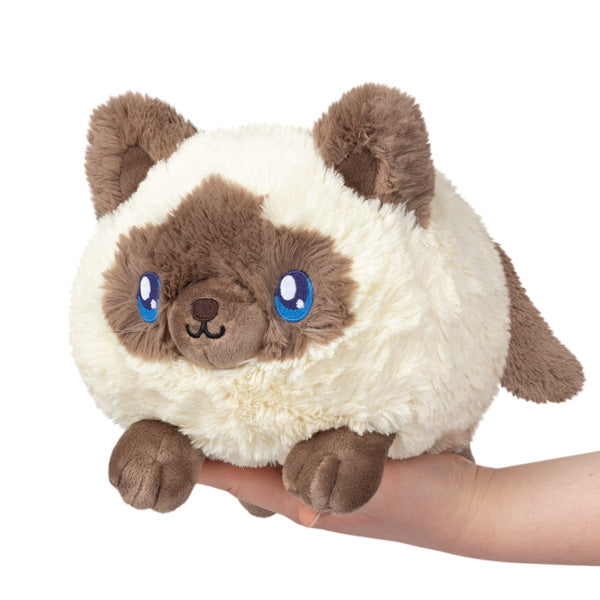 Adorable 11 - Mini Squishable Colorpoint Kitty
