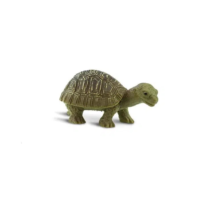 Lucky Hand - painted Miniature Tortoise Figurines for Party Favors