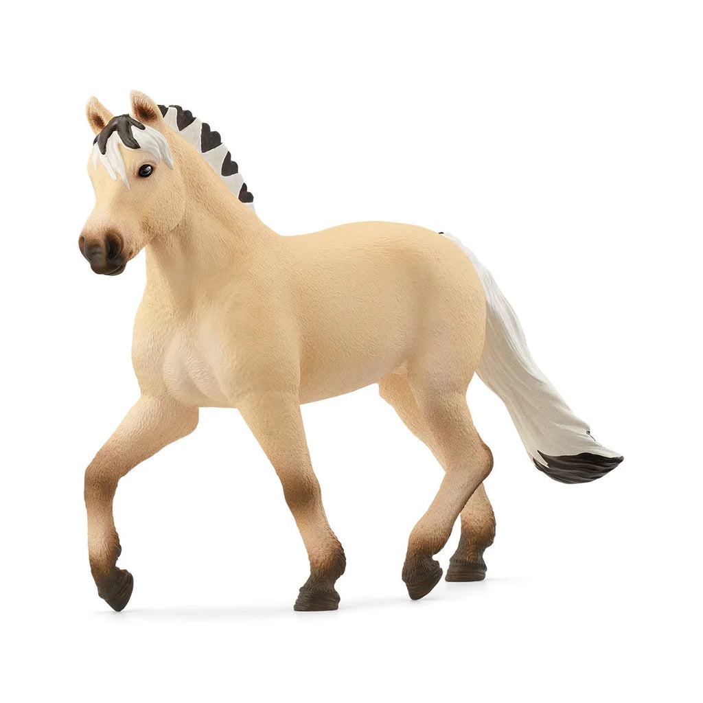 Beautiful Norwegian Fjord Horse Mare with Distinctive Coat and Mane