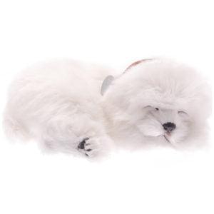 Exquisite Perfect Petzzz Maltese Bundle with Essential Accessories