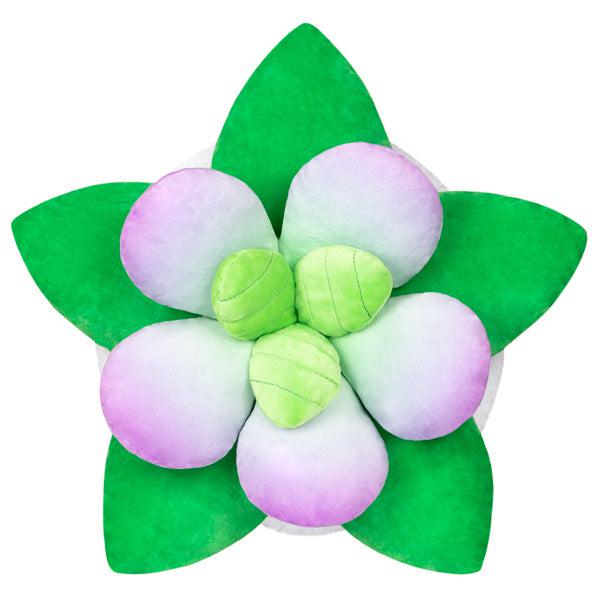 15-piece Squishy Succulent Collection