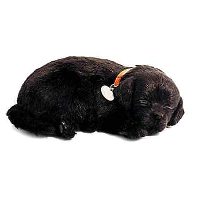 Exquisite Perfect Petzzz Black Labrador with Accessories