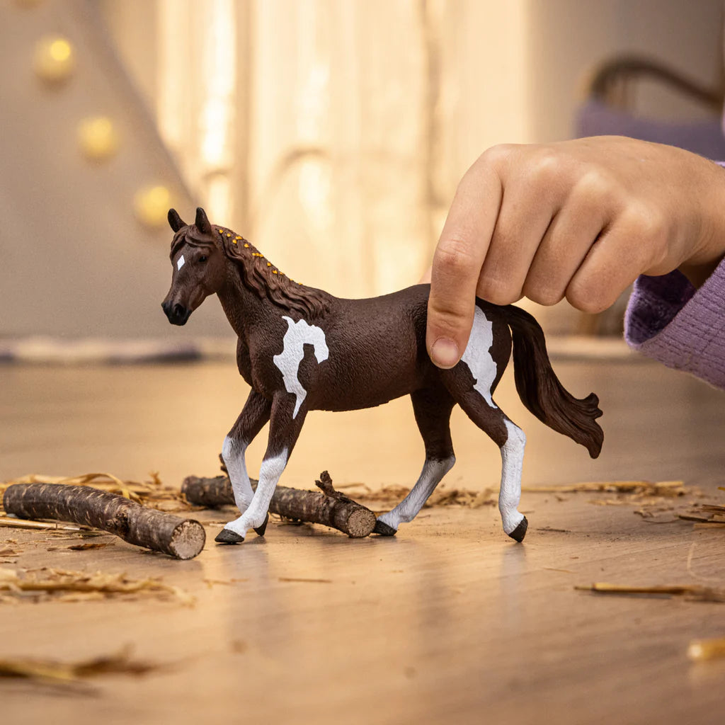 Charming Chocolate - Coated Paint Horse Mare